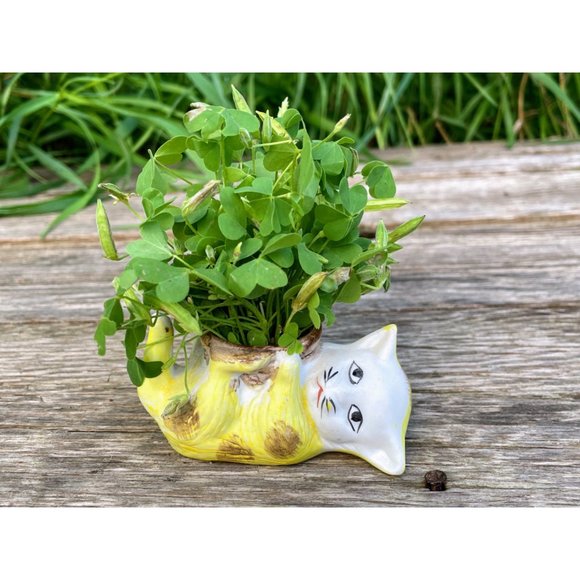 Vintage Bisque Porcelain Small Sad Kitty Cat Planter Vase - Picture 9 of 11